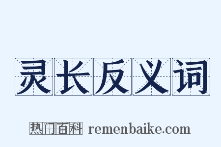 灵长反义词是什么意思的图片